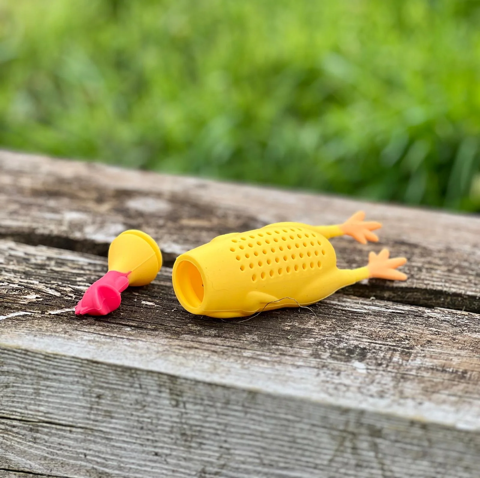 Scentwork Equipment